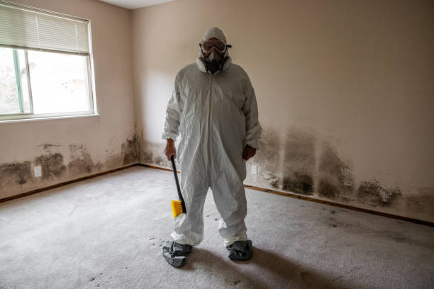 Best Professional Mold Removal  in Knoxville, TN